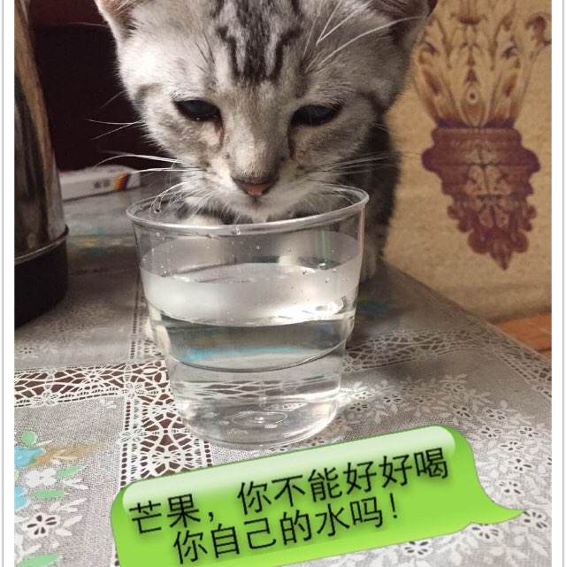 办假的日本高野山大学文凭毕业证
